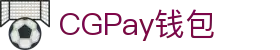 CGPay钱包 · 智能支付 · 全球通